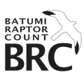 Batumi Raptor Count